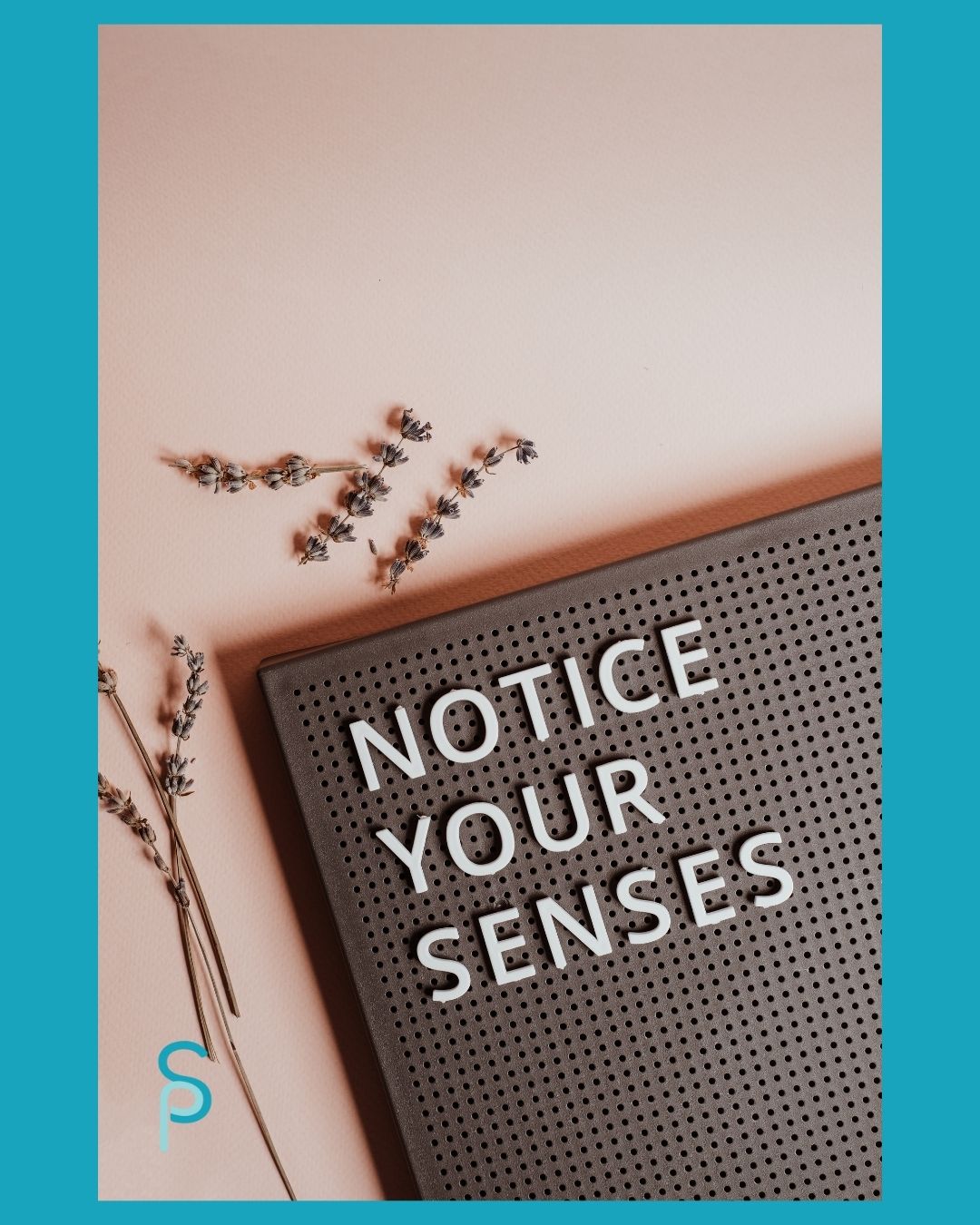 notice your senses caregiver mindfulness